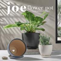 Joe Matt Ceramic Flower Pot | Plant Pots | Home Outdoor Garden Flower Pot | Flower Pot | Garden | Gardening | Chinese New Year | Lucky Bamboo | Money Tree | kumquat tree | Speckled Space