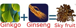 ginkgo + ginseng = sky fruit
