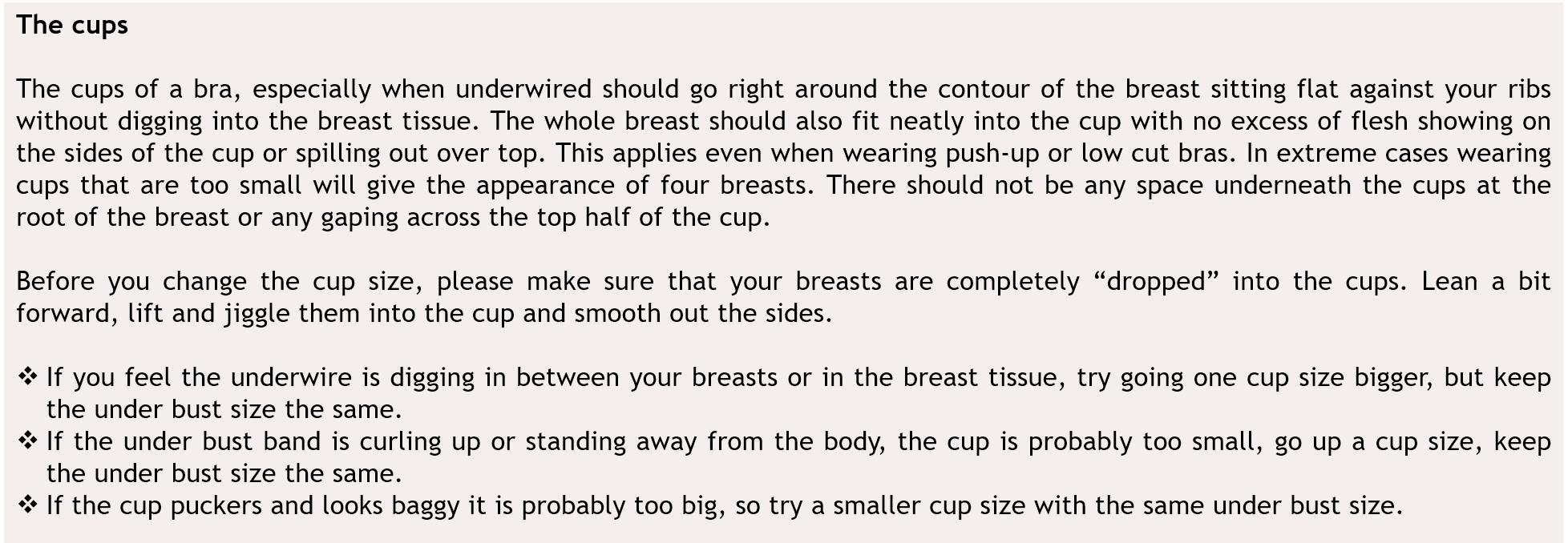HowToIdentifyPerfectBra3.png