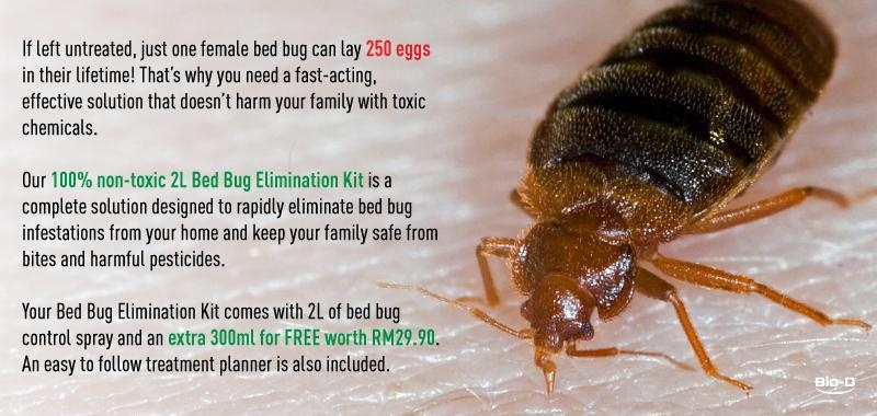 Product-Description-Image-K (1).jpg