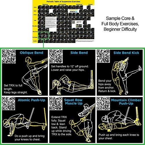 Suspension Exercise Poster Periodic Table Of Exercises Suspension Exercise Poster Periodic Table Of Exercises By Stack 52 For All Suspended Bodyweight Trainer Straps Video Instructions Included