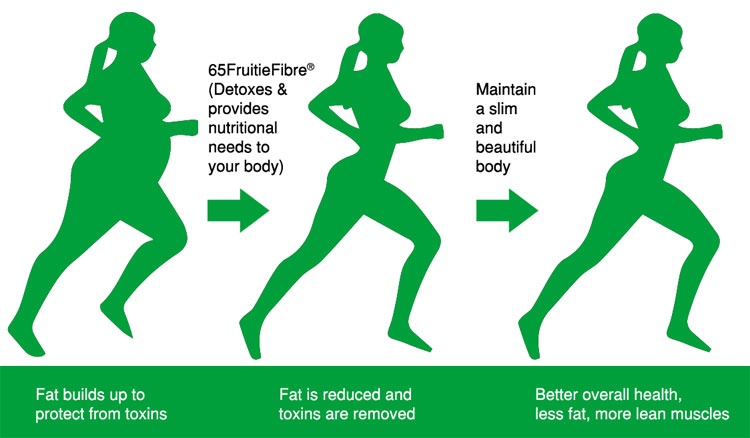 Reduce toxins to lose weight fast Reduce toxins to lose weight fast