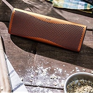 portable bluetooth speaker