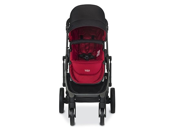 2017 B-Ready - Poppy