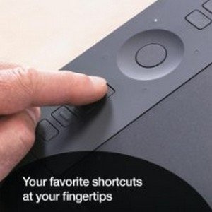 Insert Alt Text here