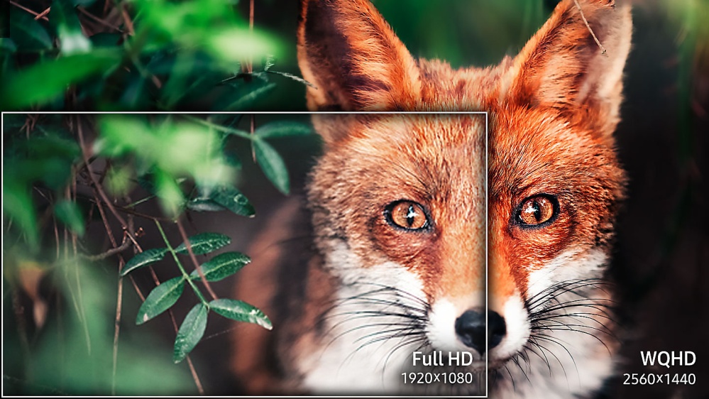 More Detail, More Space