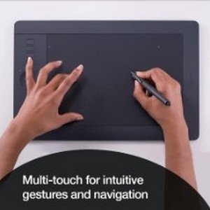 Insert Alt Text here