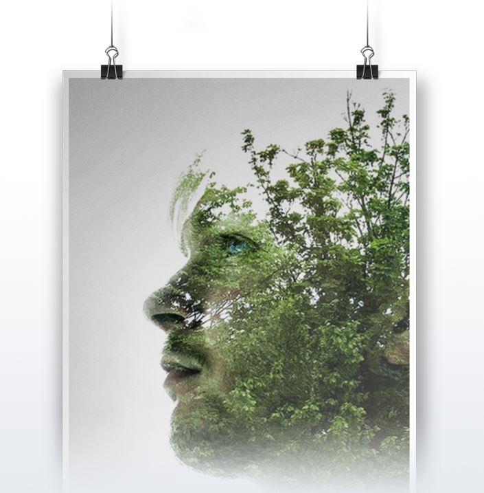 Insert Alt Text here