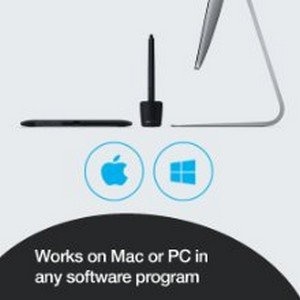 Insert Alt Text here