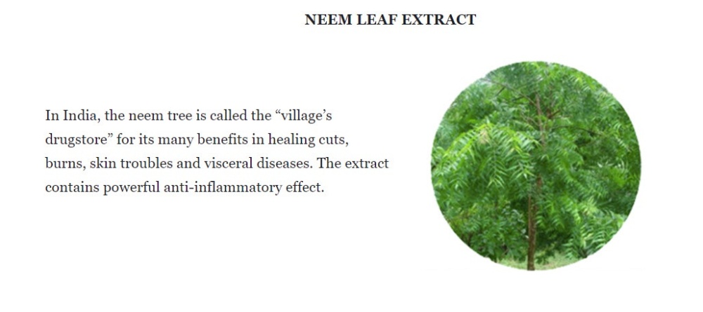 AMC ingredient 4